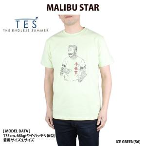 The Endless Summer エンドレスサマー 9574308 MALIBU STAR-T Tシャツ TES テス カリフォルニア サーフ マリブスター｜bumpstyle