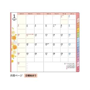 【メール便OK】 クツワ 2027年スケジュー...の詳細画像2