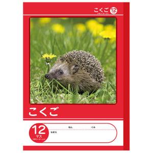 Nk学習帳 こくご 12マスリーダー入り 小学1年生 2年生 3年生 Nkb B5g Kg12m 国語ノート 12マス こくごノート 小学生 ノート の最安値 価格比較 送料無料検索 Yahoo ショッピング