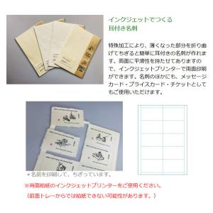 【6個までメール便OK】 MOLZA美の紙工房...の詳細画像1