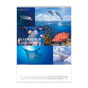新日本カレンダー 2022年 カレンダー 壁掛け リラクゼーション ブルー  NK-32 令和4年 壁掛けカレンダー 癒やし 海の生き物 イルカ さかな
