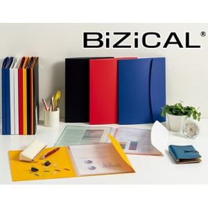 ライオン事務器 BiZiCAL ビジカル ホルダー用ブック 12ポケット HB-323B