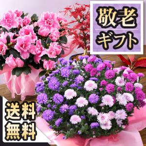 母の日 2023 早割 4月21日14時まで プレゼント 花 ギフト