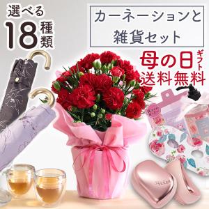 まだ間に合う! 母の日 2024 プレゼント 花...の商品画像