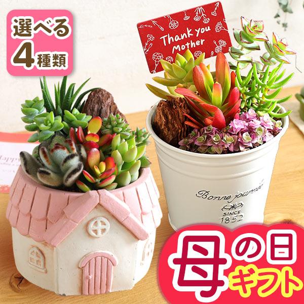 母の日 2026 ギフト プレゼント 花 多肉植物 寄せ植え 観葉植物 送料無料 早割実施中 イベン...