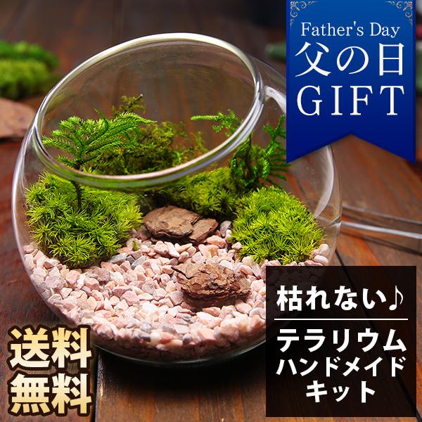 父の日 プレゼント ギフト 苔 テラリウム キット ハンドメイドキット プリザーブドモス 手作り お...