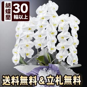 お悔やみ花鉢 大輪胡蝶蘭 プレミアム 白 3本立ち 30輪以上 つぼみ込 送料無料 お供え 花 供花 花鉢 生花 仏花 フラワー ギフト お悔み 仏事 弔事 Lf Usl 002yh 05 Bunbun Bee 通販 Yahoo ショッピング