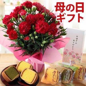カーネーション鉢4号＆スイーツセット「感謝のレッド＆カステラ巻き」【母の日 プレゼント 花 文明堂 関東送料無料 メッセージカード付 イベントギフト 2019】