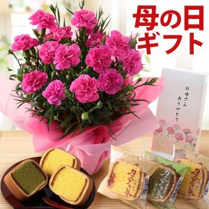 カーネーション鉢4号＆スイーツセット「鮮やかなピンク＆カステラ巻き」【母の日 プレゼント 花 文明堂 関東送料無料 メッセージカード付 イベントギフト 2019】