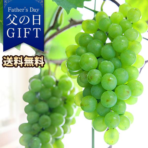 父の日 プレゼント ギフト 鉢植え 休肝日を愉しむ〜デザート編〜果樹鉢・幻の葡萄「タノレッド」 送料...