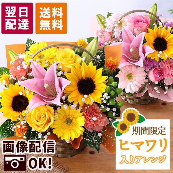 花 誕生日 プレゼント フラワー ウィンターデコレーション おまかせアレンジメント Sサイズ 生花 ...