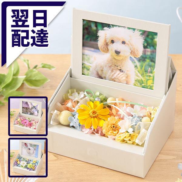 最短翌日届け 14時まで 花 ペット お悔やみ 供養 枯れない供花 プリザーブドフォトフレームBOX...