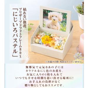 花 ペット お悔やみ 供養 枯れない供花 プリ...の詳細画像1