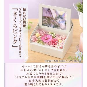花 ペット お悔やみ 供養 枯れない供花 プリ...の詳細画像3