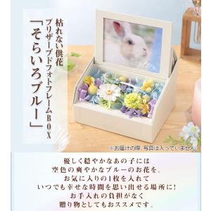 花 ペット お悔やみ 供養 枯れない供花 プリ...の詳細画像5
