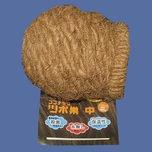 ココナッツツボ巣（中）