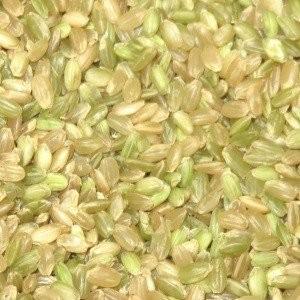 年産 無農薬栽培青米 コシヒカリ 0g Kb113 文鳥屋 通販 Yahoo ショッピング