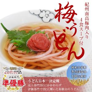 内祝い ギフト 南高梅梅肉入　紀州梅うどん（4食スープ付）　(fy3)