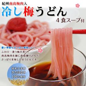 内祝い ギフト 南高梅梅肉入　紀州冷し梅うどん（4食スープ付）　(fy3)