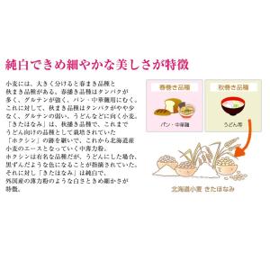 内祝い ギフト 南高梅梅肉入 紀州冷し梅うどん...の詳細画像5