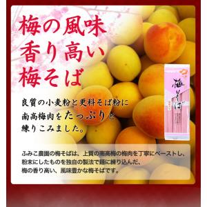 紀州南高梅肉入 紀州 梅そば 300g(3人前...の詳細画像1