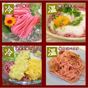 紀州南高梅肉入 紀州 梅そば 300g(3人前...の詳細画像2