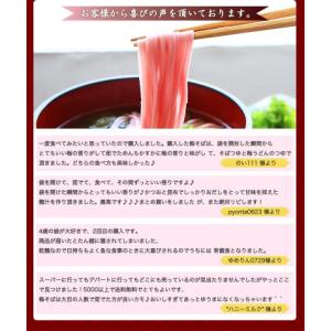 紀州南高梅肉入 紀州 梅そば 300g(3人前...の詳細画像3