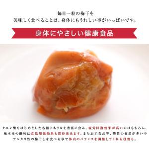 内祝い ギフト 紀州南高梅 低塩つぶれ 梅干し...の詳細画像3