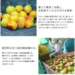 内祝い ギフト 紀州南高梅 低塩つぶれ 梅干し...の詳細画像5