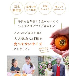 夏ギフト お中元 御中元 ギフト 2026 プ...の詳細画像1