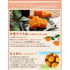 内祝 ギフト 無添加 スイーツ 干し柿 紀州自...の詳細画像3