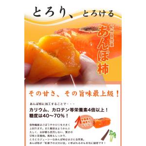 内祝 ギフト 無添加 スイーツ 干し柿 紀州自...の詳細画像4