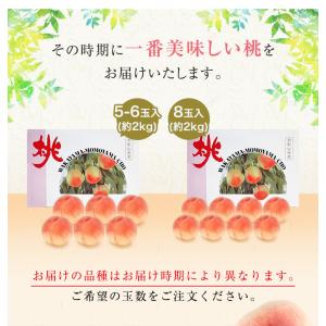2026年 ご予約受付中 お中元 ギフト 御中...の詳細画像1