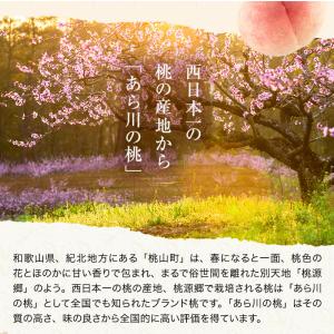 2026年 ご予約受付中 お中元 ギフト 御中...の詳細画像2