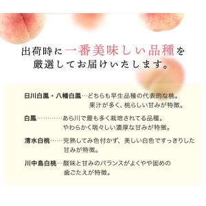 2026年 ご予約受付中 お中元 ギフト 御中...の詳細画像5