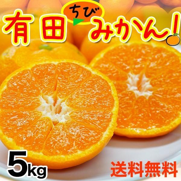 2025年 ご予約開始 みかん 訳あり 温州みかん 大国和歌山の 有田みかん（温州ミカン）5kg ち...