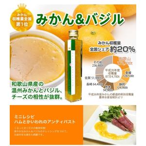内祝い ギフト 和歌山県産フルーツドレッシング...の詳細画像4