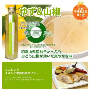 内祝い ギフト 和歌山県産フルーツドレッシング...の詳細画像5
