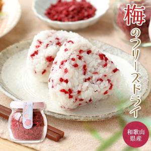 梅のフリーズドライ 40g 紀州南高梅 乾燥梅肉 梅100％ふりかけフリーズドライ梅 梅加工品 プチギフト お配り物にも可愛い (fy2)