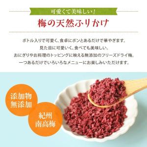 梅のフリーズドライ 40g 紀州南高梅 乾燥梅...の詳細画像1
