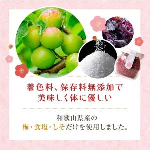 梅のフリーズドライ 40g 紀州南高梅 乾燥梅...の詳細画像2