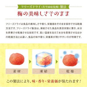 梅のフリーズドライ 40g 紀州南高梅 乾燥梅...の詳細画像3