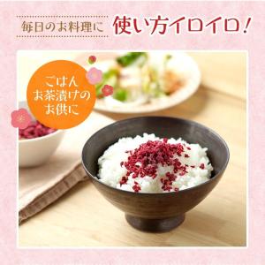 梅のフリーズドライ 40g 紀州南高梅 乾燥梅...の詳細画像5