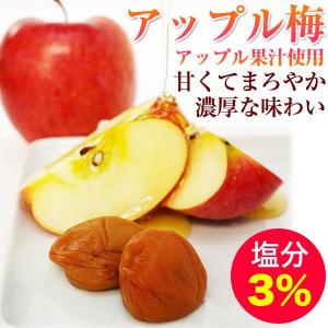 内祝い ギフト 梅干し 紀州南高梅 つぶれ梅 ...の詳細画像1