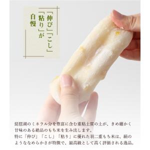 夏ギフト お中元 御中元 ギフト 2026 プ...の詳細画像4