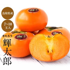 とにかく甘くて大きい柿！ 輝太郎柿（きたろう かき）  7玉〜9玉（約3kg）送料無料 ギフト プレゼント 健康 果実収穫時期に順次発送 (fy6)