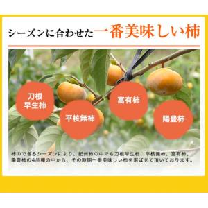 内祝い ギフト 無添加 紀州自然菓 ひと口干し...の詳細画像3