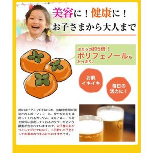 内祝い ギフト 無添加 紀州自然菓 ひと口干し...の詳細画像5