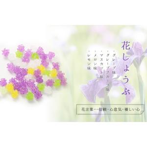 プチギフト ばらまき 2026 職場 内祝い ...の詳細画像5