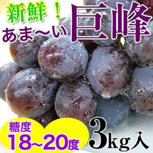 2024年ご予約開始！ 巨峰3kg（6〜9房入）&lt;和歌山県 有田巨峰村の朝採り巨峰大変みずみずしく、甘さたっぷりコクのあるぶどう※種にご注意下さい。　(fy8)